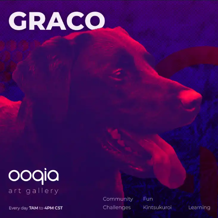 A dog with a purple background and the words Graco on it